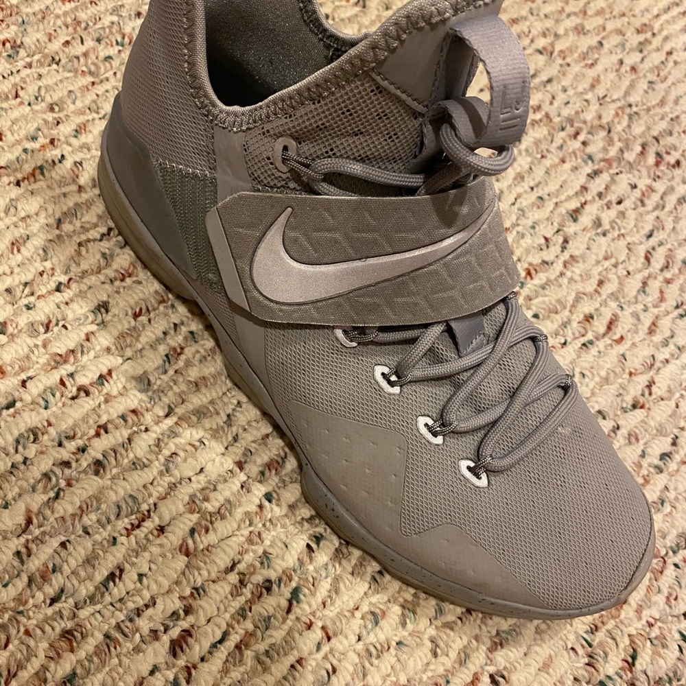 LeBron 14s